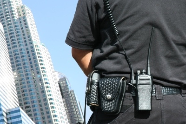 Curs Agent de securitate